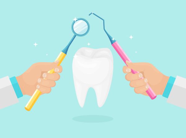 An Introduction To Your Tooth Structure